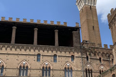 100-IMG_7647