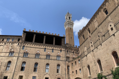 100-IMG_7648