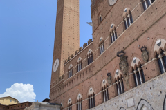 100-IMG_7650