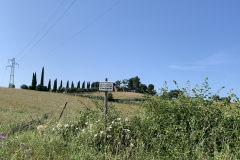 150-IMG_7724