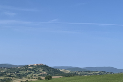 150-IMG_7729