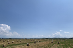 150-IMG_7759