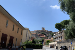 350-300-IMG_7839