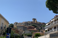 350-300-IMG_7840