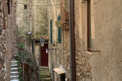 350-300-IMG_7849