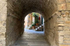 350-300-IMG_7862