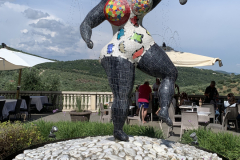 350-300-IMG_7866