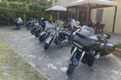 499-IMG_5569