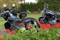 500-IMG_7680