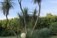 500-IMG_7684