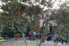 500-IMG_7685