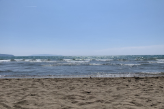 550-500-IMG_7774