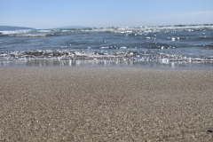 550-600-IMG_7781