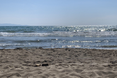 550-600-IMG_7785