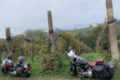 IMG_9231-dimensioni-grandi