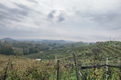 IMG_9238-dimensioni-grandi