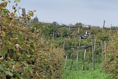 IMG_9246-dimensioni-grandi