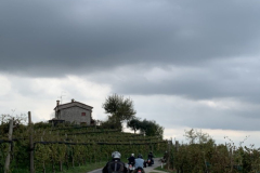 IMG_9267-dimensioni-grandi