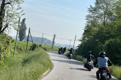 IMG_0910-dimensioni-grandi