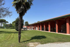 IMG_0922-dimensioni-grandi