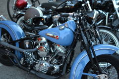 DSC_0028
