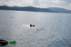 50-DSC01193